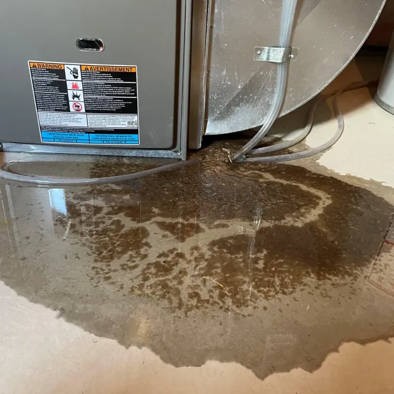 Appliance Leak Cleanup in Clay County, AL